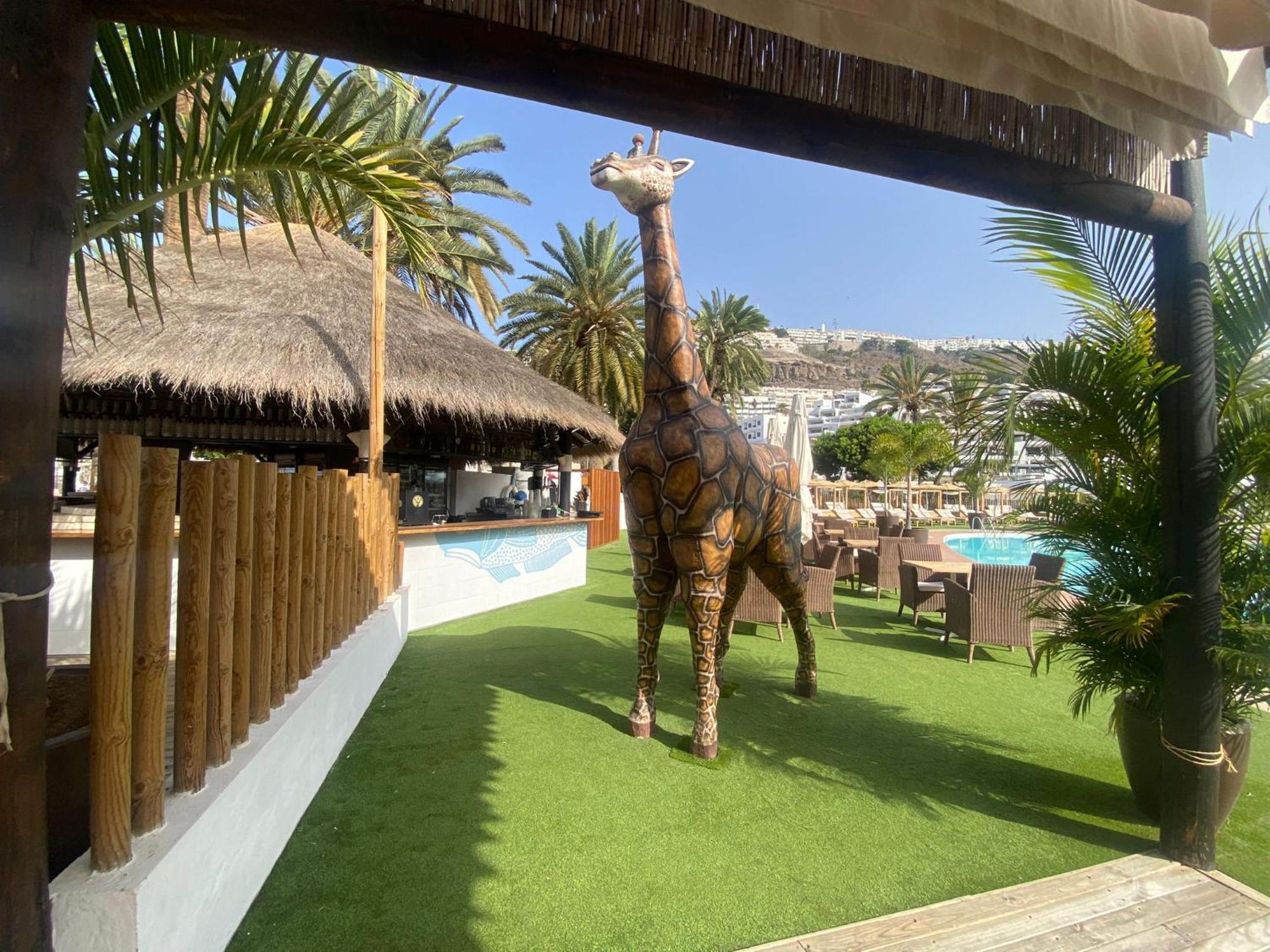 New Renovated Family Home Above Swimming Pool Πουέρτο Ρίκο Εξωτερικό φωτογραφία